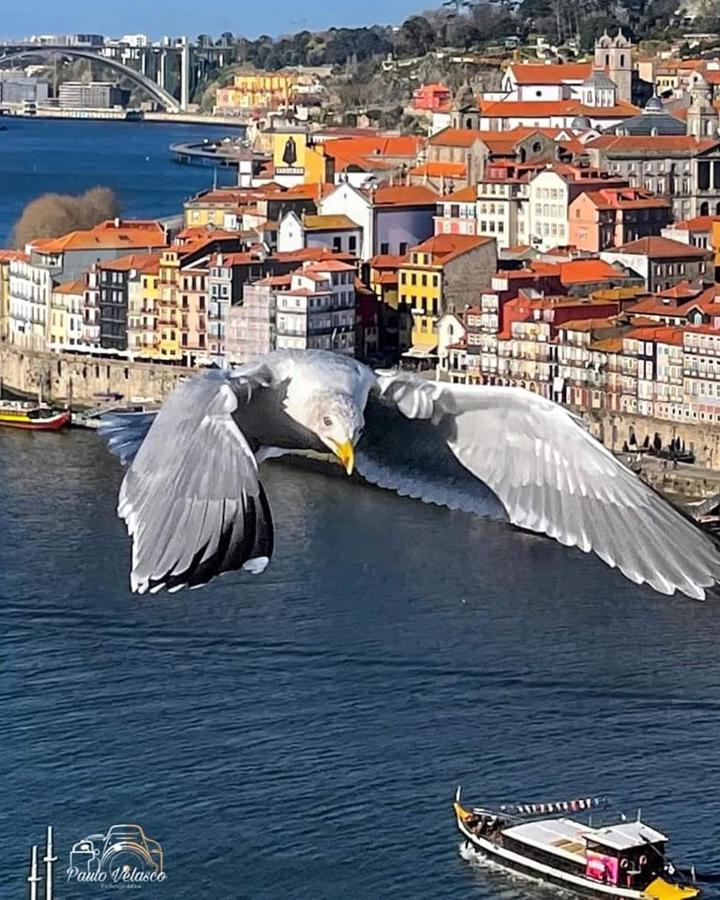 Casa Mira Douro Villa Vila Nova de Gaia Eksteriør billede